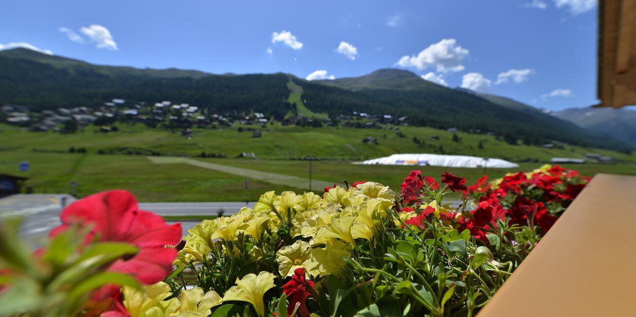 Hotel Silvestri 3*