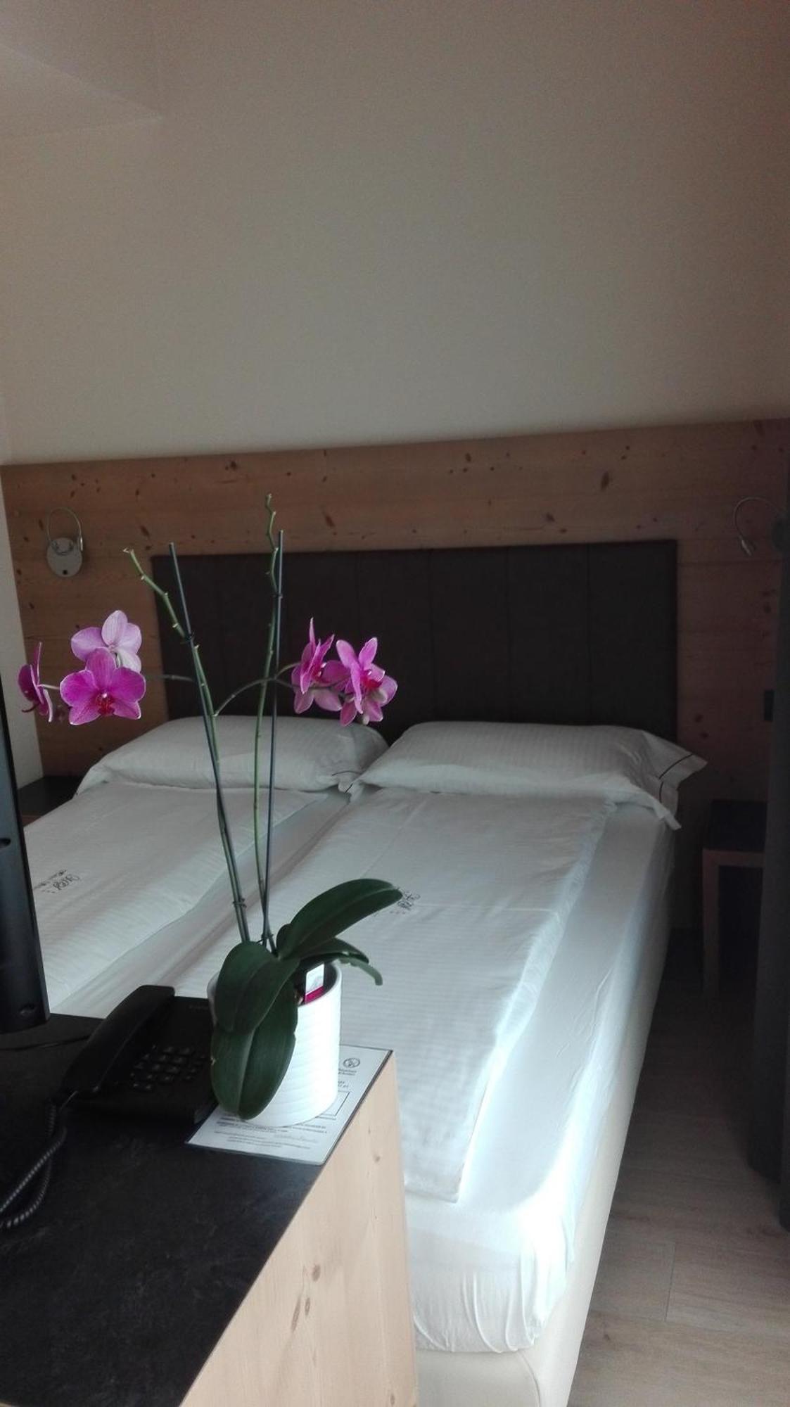 Hotel Silvestri 3*